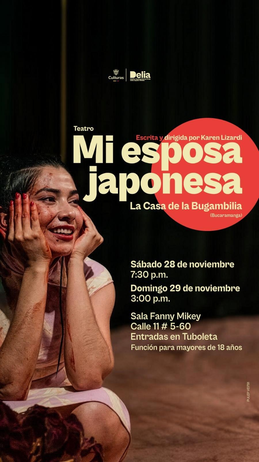Mi esposa japonesa - Teatro en Bogotá